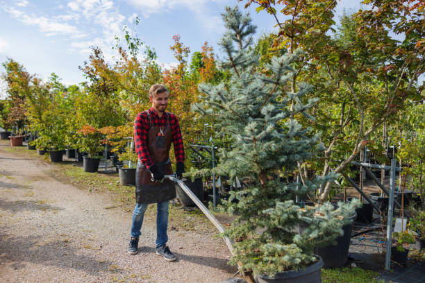 Best Lawn Irrigation Installation and Maintenance  in Beaver Dam Lake, NY